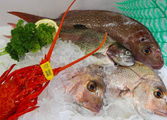 Retail Business in Katoomba
