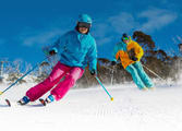 Recreation & Sport Business in Brisbane City