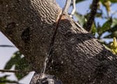 Garden & Household Business in Sydney