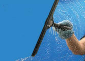 Mobile Services Business in VIC