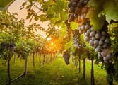 Rural & Farming Business in VIC
