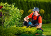 Professional Services Business in QLD