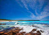 Professional Services Business in WA
