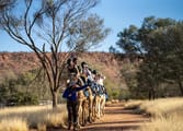 Accommodation & Tourism Business in Alice Springs