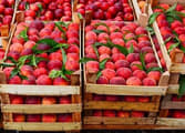 Food, Beverage & Hospitality Business in Urangan