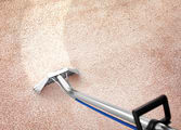 Cleaning Services Business in Greenwood