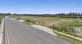 Development / Land commercial property for sale at 29 Harris Road Pinkenba QLD 4008
