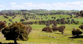 Rural / Farming commercial property sold at Bogolara Road Bookham Yass NSW 2582