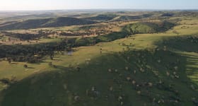 Rural / Farming commercial property sold at Wagga Wagga NSW 2650