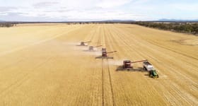 Rural / Farming commercial property for sale at 0 Corinella Group Portfolio, Victoria & South Australia Lake Bolac VIC 3351