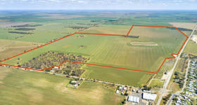 Rural / Farming commercial property for sale at Woorinen South VIC 3588