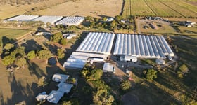 Rural / Farming commercial property for sale at 286 Booyan Road Moore Park Beach QLD 4670