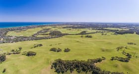 Rural / Farming commercial property for sale at 745 Truemans Road Fingal VIC 3939