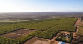 193 Rural Farming Properties For Sale In Mildura Vic 3500