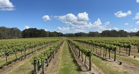 Rural / Farming commercial property for sale at Karingal Vineyard 67 East Settlement Road Wrattonbully SA 5271 Rural / Farming commercial property for sale at Karingal Vineyard 67 East Settlement Road Wrattonbully SA 5271