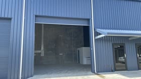 Showrooms / Bulky Goods commercial property for lease at Shed 4/71 Old Maryborough Rd Pialba QLD 4655