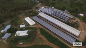 Rural / Farming commercial property for sale at 6 Smalls Road Hamilton Creek QLD 4714