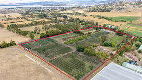 Rural / Farming commercial property for sale at 180 Pawleena Road Sorell TAS 7172