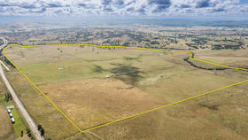 Rural / Farming commercial property for sale at Barton Hwy Marchmont NSW 2582