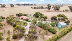 Rural / Farming commercial property for lease at 71 Primes Court Balliang VIC 3340