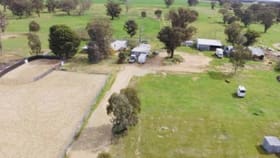 Rural / Farming commercial property for lease at 159 Old Wallendbeen Road Stockinbingal NSW 2725
