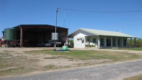Rural / Farming commercial property for sale at Lower Tully QLD 4854