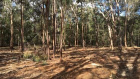 Rural / Farming commercial property for sale at 1006A Comleroy Road Kurrajong NSW 2758