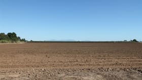 Rural / Farming commercial property for sale at 840 Rita Island Road, Jarvisfield Ayr QLD 4807