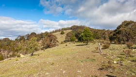 Rural / Farming commercial property for sale at Lot 1, 545 Browns Road Goulburn NSW 2580