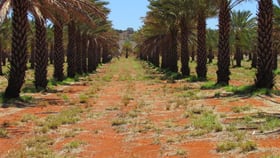 Rural / Farming commercial property for sale at . High River Stock Route Alice Springs NT 0870