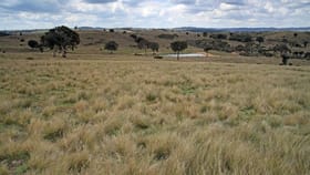 Rural / Farming commercial property sold at 2304 Yass River Rd Yass NSW 2582