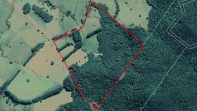 Rural / Farming commercial property for sale at 111 Greenwood Road Ravenshoe QLD 4888
