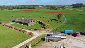 Rural / Farming commercial property for sale at 52 Irishtown Road Smithton TAS 7330