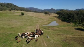 Rural / Farming commercial property for sale at 711 Timor Road Coonabarabran NSW 2357