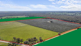 Rural / Farming commercial property for sale at 33 CHAPEL LANE Esmond VIC 3730