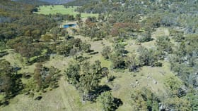 Rural / Farming commercial property for sale at Gellebri Box Forest Road Kingstown NSW 2358