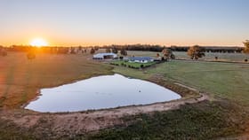 Rural / Farming commercial property for sale at 54L NARROMINE ROAD Dubbo NSW 2830