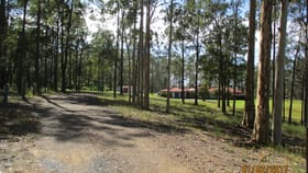 Rural / Farming commercial property for sale at 984 Comboyne Road Cedar Party NSW 2429