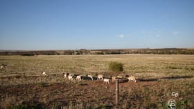 Rural / Farming commercial property for sale at Angas Valley SA 5238