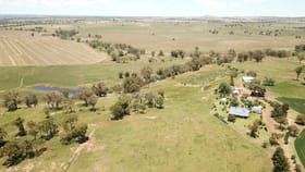Rural / Farming commercial property for sale at 'Attunga' 3189 Gollan Road Wellington NSW 2820