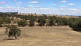 Rural / Farming commercial property for sale at Lot 13H Jones Road Waterloo VIC 3373