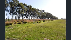 Rural / Farming commercial property for sale at 00 Pleasance Road Tragowel VIC 3579