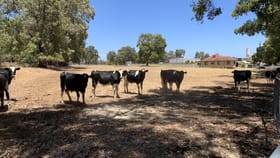 Rural / Farming commercial property for sale at 10842 South Western Highway Harvey WA 6220