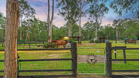 Rural / Farming commercial property for sale at 106 Verbena Road Tamborine QLD 4270