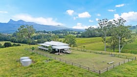 Rural / Farming commercial property for sale at 50 Hoggs Road Tyalgum Creek NSW 2484