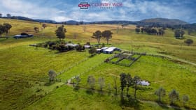 Rural / Farming commercial property for sale at 1783 Tablelands Road Red Range NSW 2370