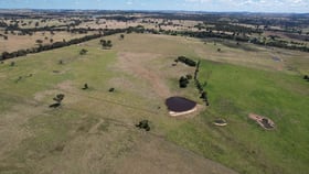 Rural / Farming commercial property for sale at 131 Red Hill Road Bowning NSW 2582