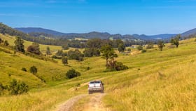 Rural / Farming commercial property for sale at 1 Andersons Creek Road Wards River NSW 2422