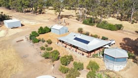 Rural / Farming commercial property for sale at 5980 DONNYBROOK-BOYUP BROOK ROAD Boyup Brook WA 6244