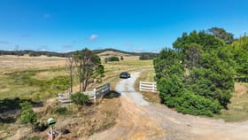 Rural / Farming commercial property sold at 'Ferndale' 192 Rock Lodge Road Gunning NSW 2581